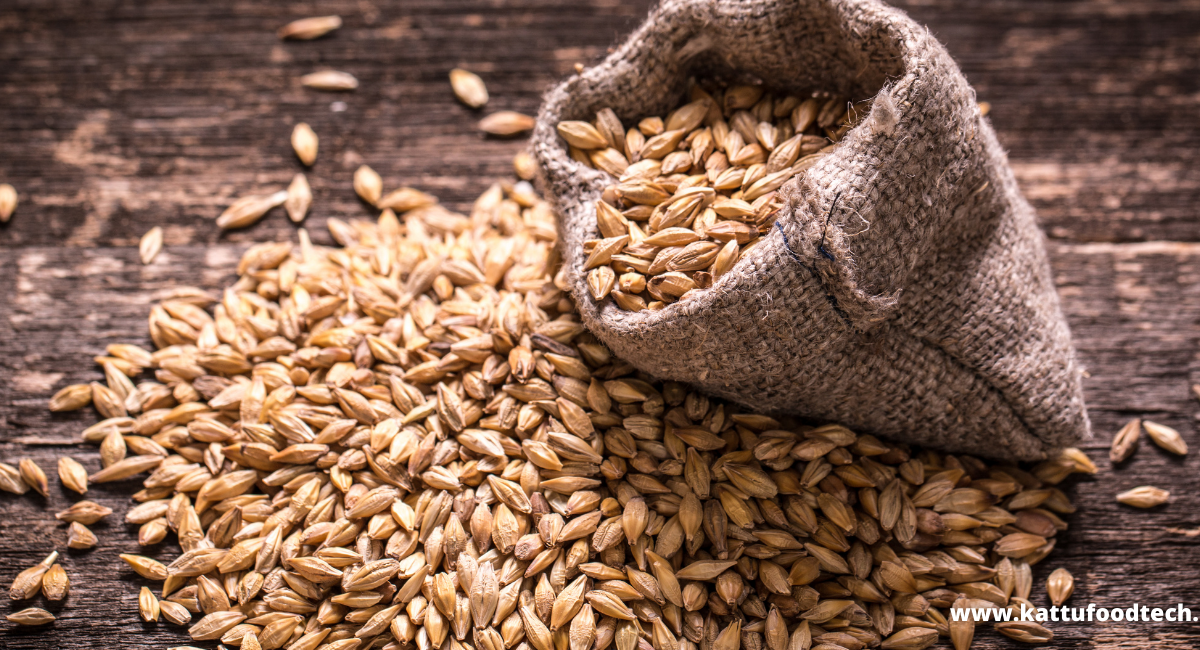 Food Science & Technology Quiz (07/12/2020)