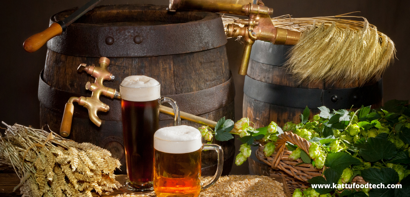 Acrospires Are The Sprouts, Endosperm Is Its Food Source – Food Science | KATTUFOODTECH