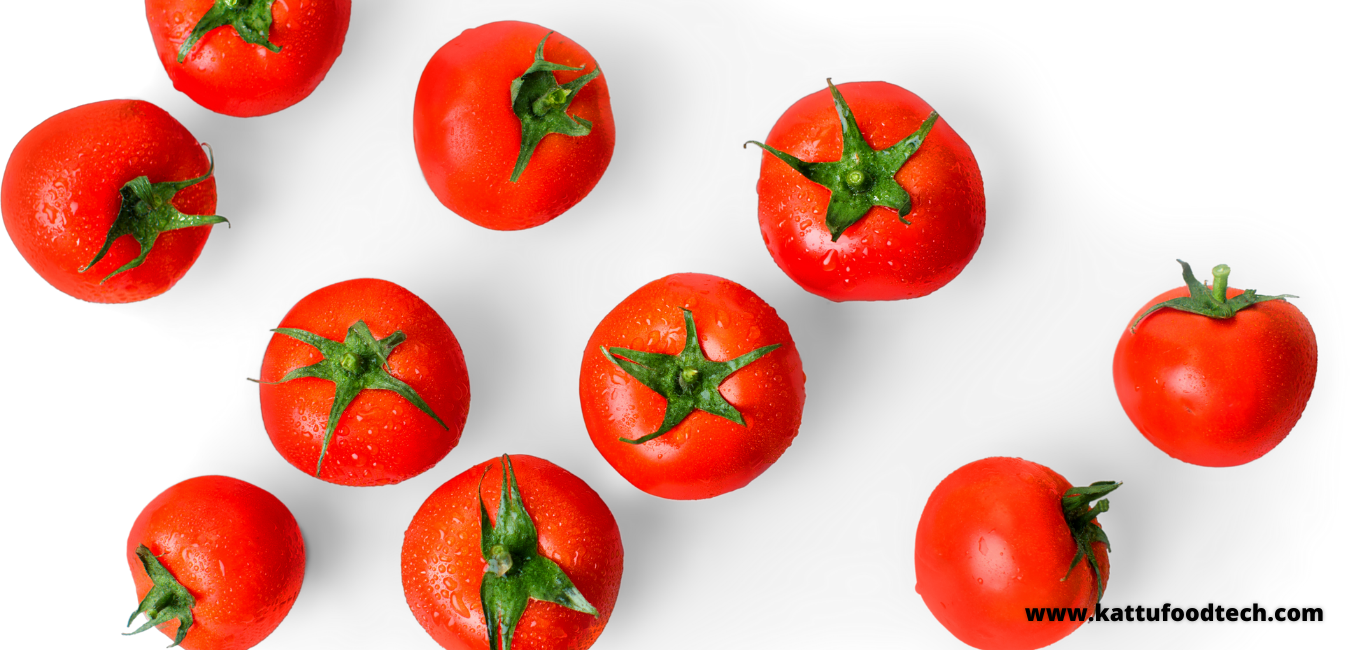 Flavr Savr Is Associated With Tomato - Food Science & technology