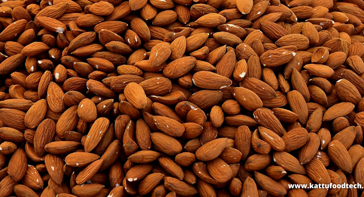 Food Science & Technology Quiz (14/11/2020)