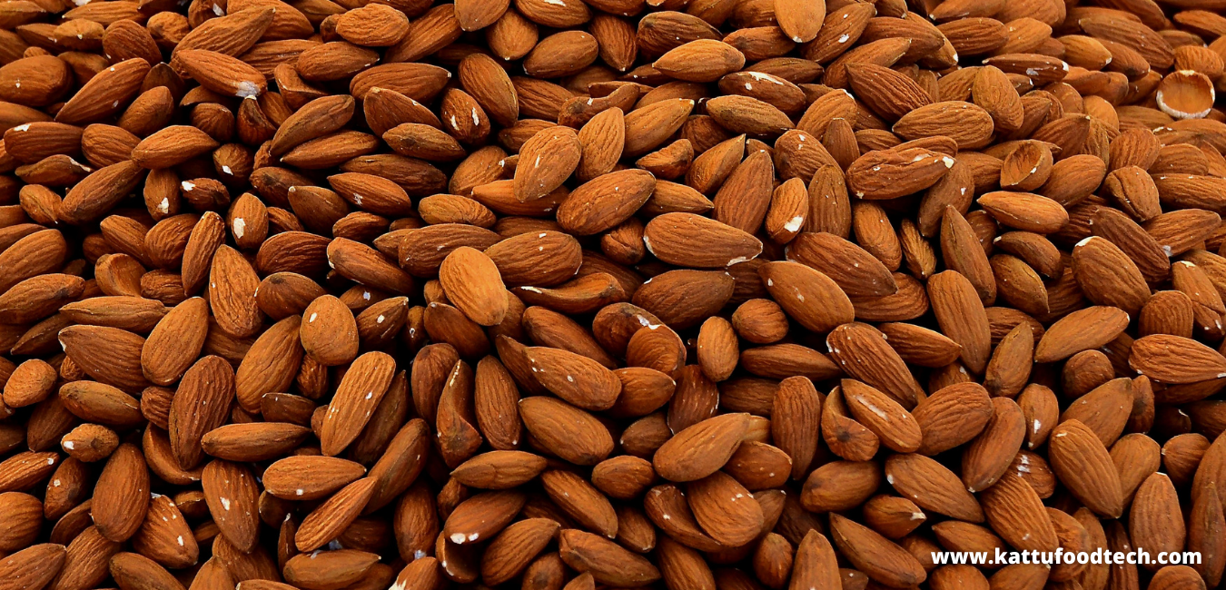 Bitterness In Almonds Is Due To The Prussic Acid – Food Science | KATTUFOODTECH