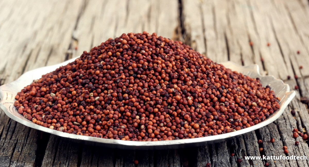 Food Science & Technology Quiz (14/12/2020)