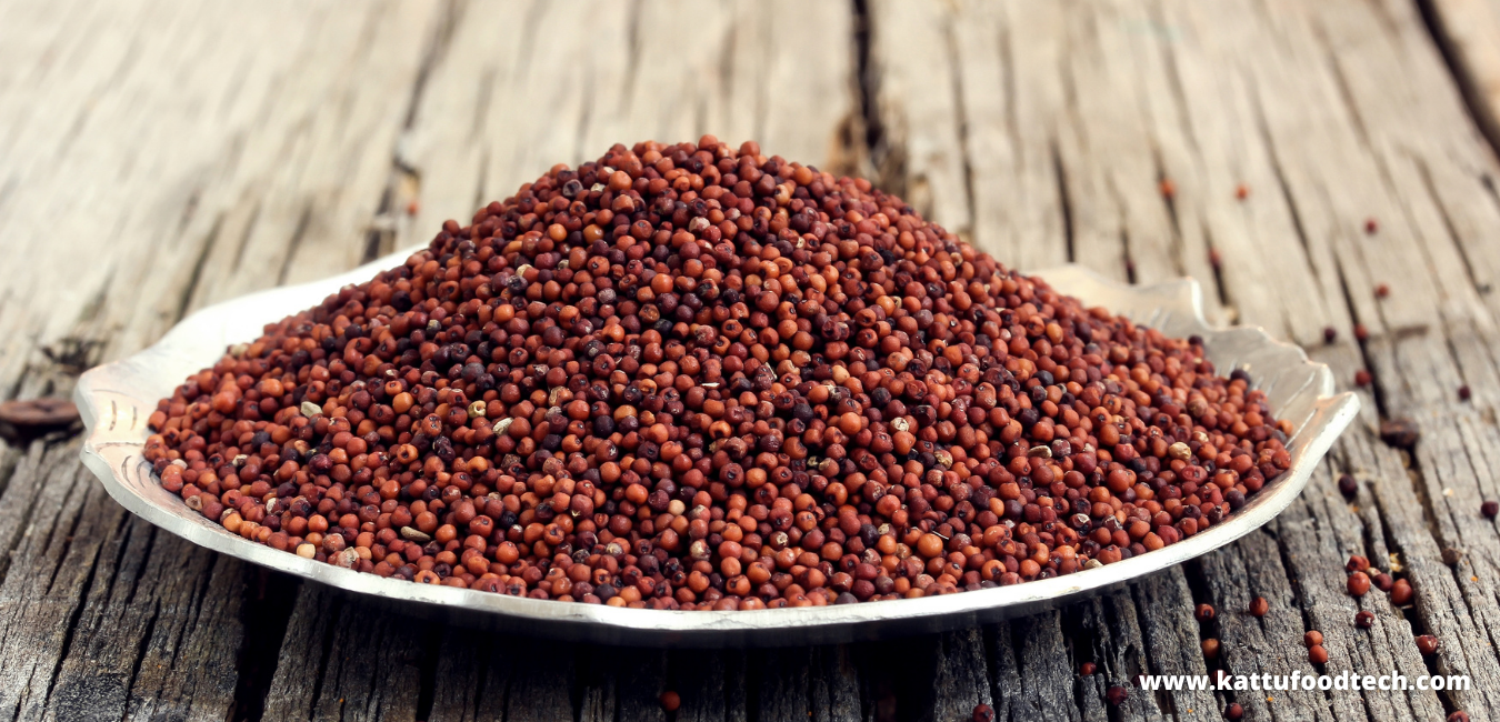 Ragi Is A Very Good Source Of Calcium – Food Science | KATTUFOODTECH