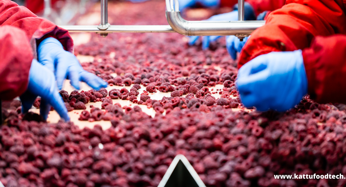 Food Science & Technology Quiz (15/11/2020)