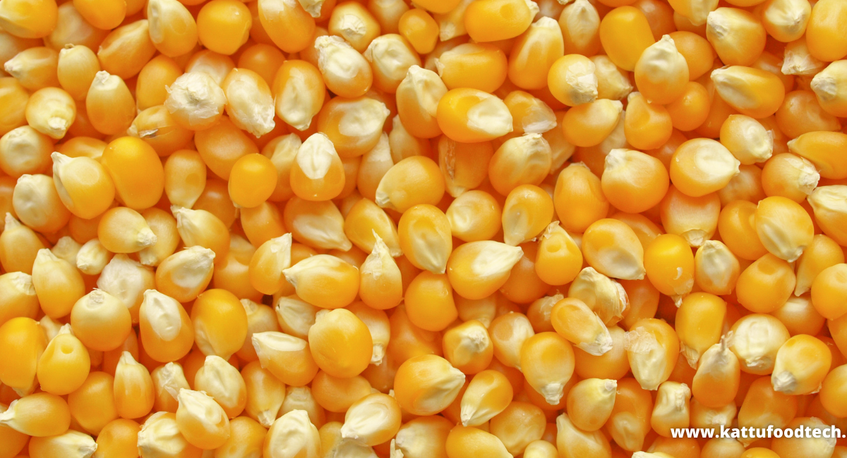 Food Science & Technology Quiz (19/11/2020)