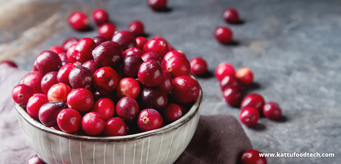 Benzoic Acid Is Naturally Present In The Cranberries – Food Science | KATTUFOODTECH