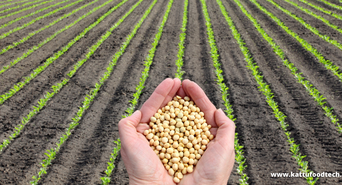 Food Science & Technology Quiz (8/11/2020)