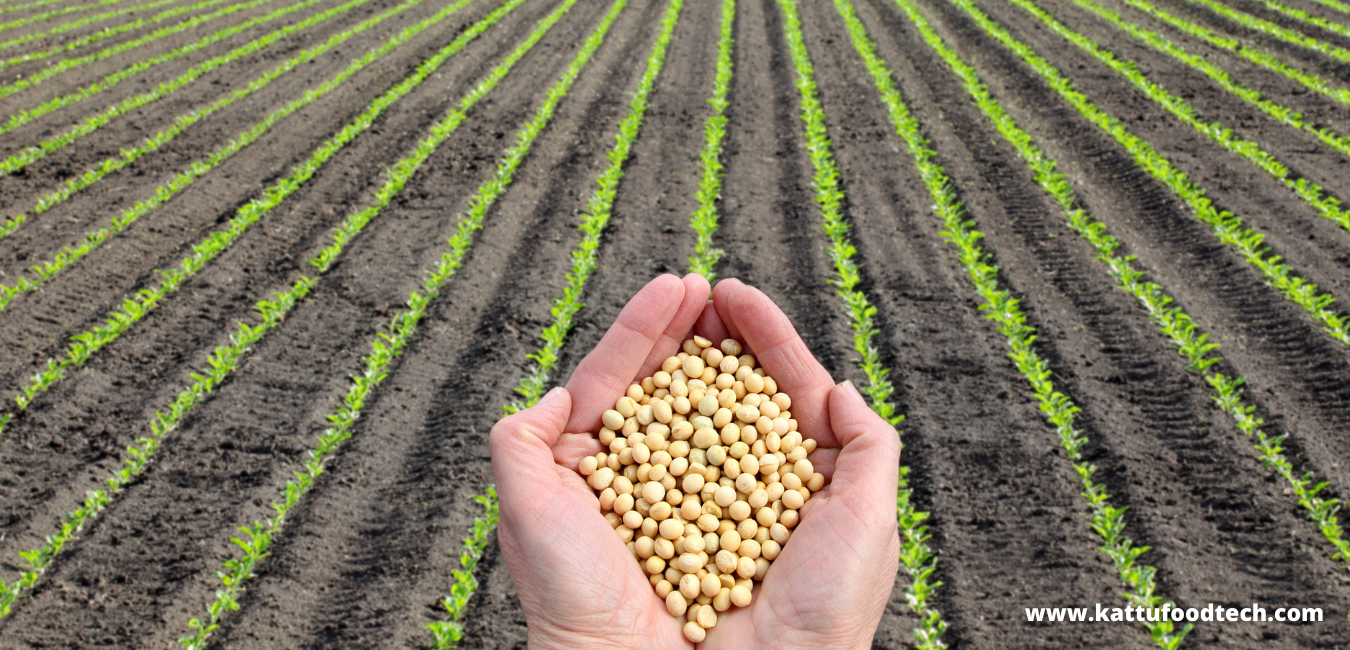 The Soy Protein Concentrate Is Nearly 70% SOY Protein – Food Science | KATTUFOODTECH