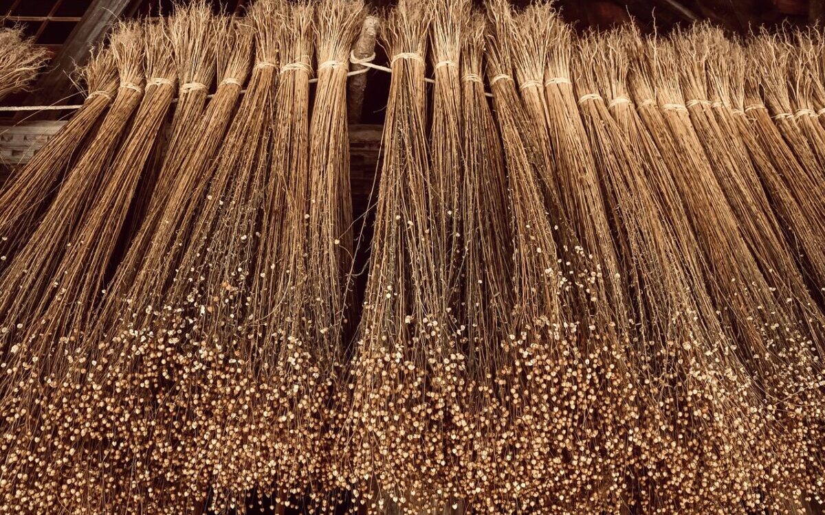 Food Science & Technology Quiz (09/04/2021)