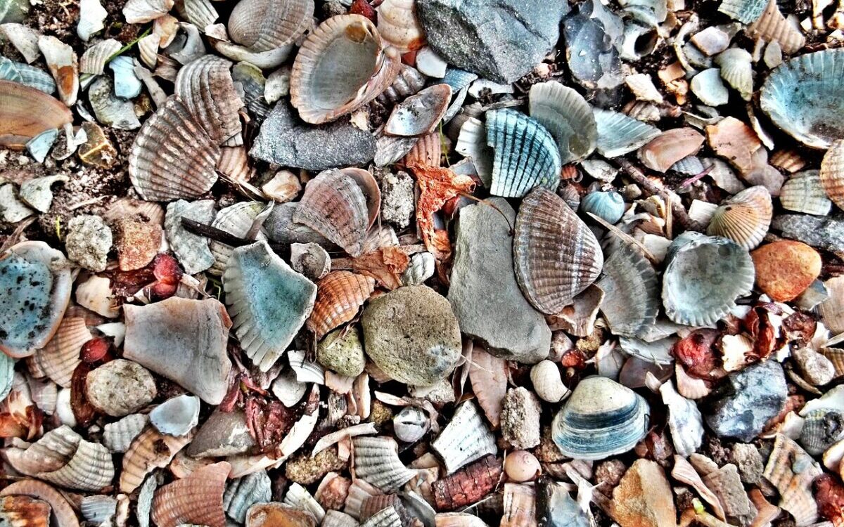 Food Science & technology Quiz (01/07/2021)