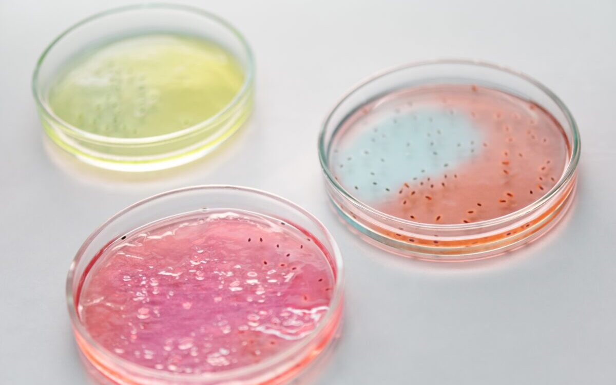 Food Science & Technology Quiz (15/12/2020)