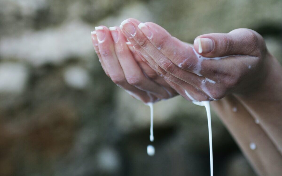 Food Science & Technology (30/12/2020)