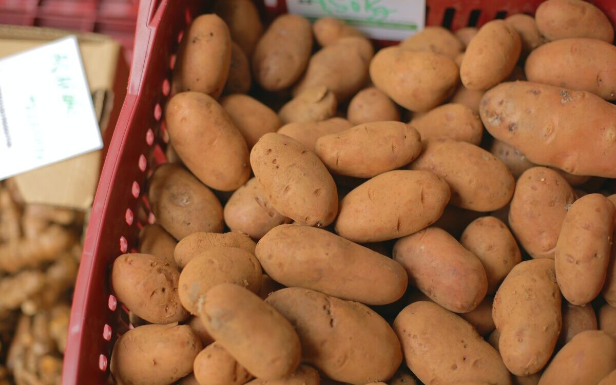 Food Science & Technology Quiz (05/03/2021)