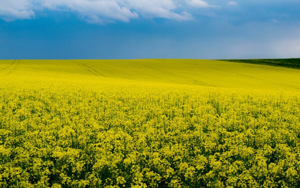 Food Science & Technology Quiz (10/01/2021)