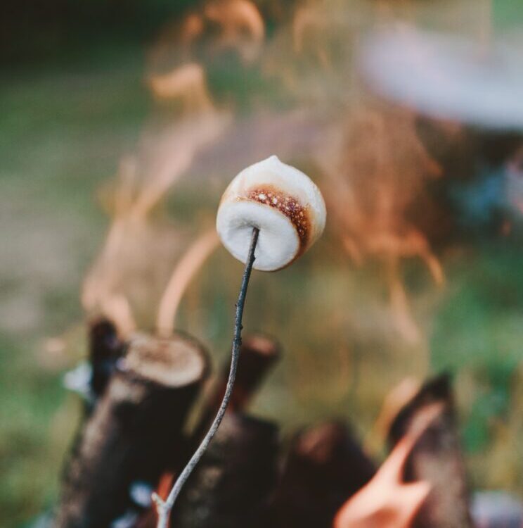 Food Science & Technology Quiz (23/12/2020)