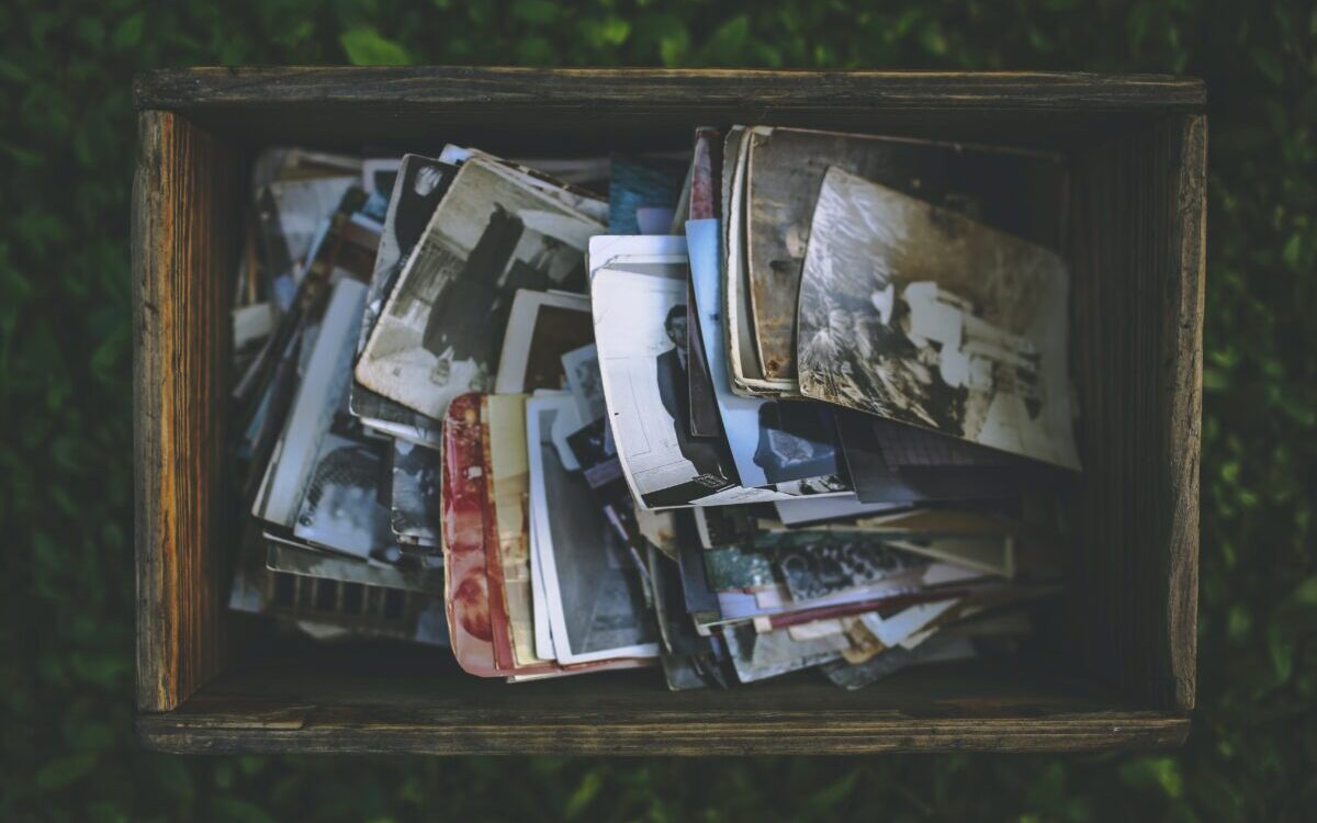 Food Science & Technology Quiz (25/01/2021)