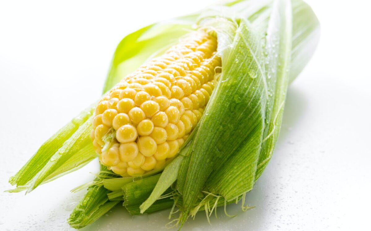 Food Science & Technology Quiz (14/01/2021)