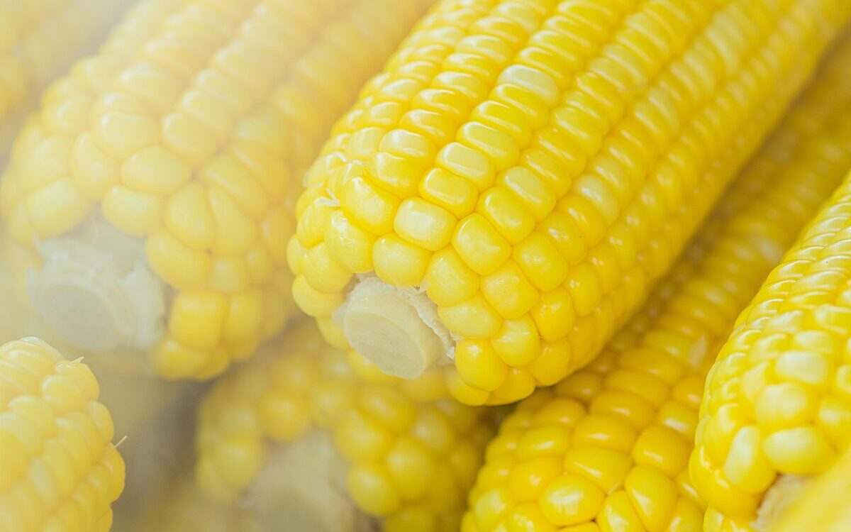 Food Science & Technology Quiz (22/02/2021)