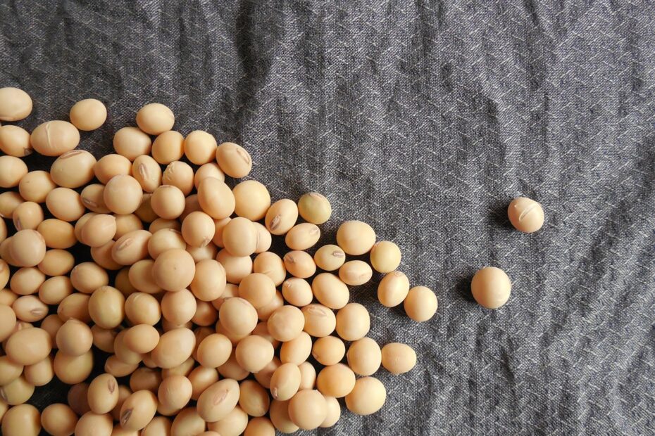 Soybean Agglutinins (SBA) Are Lectins Found In Soybeans