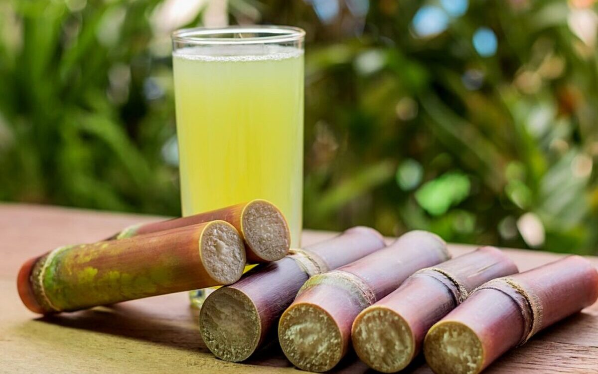 Food Science & Technology Quiz (28/05/2021)