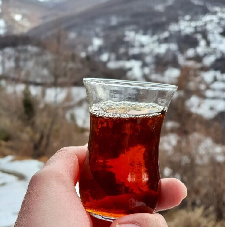 Food Science & Technology Quiz (12/05/2021)