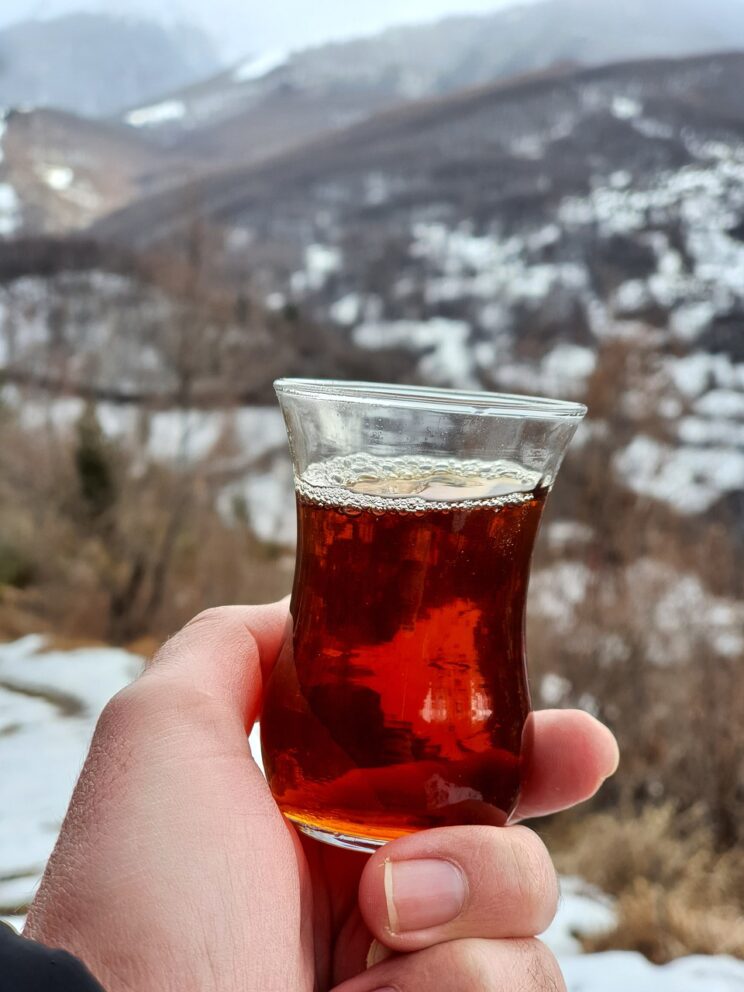 Kukicha Is Also Called Winter Tea – Food Science & Technology | KATTUFOODTECH