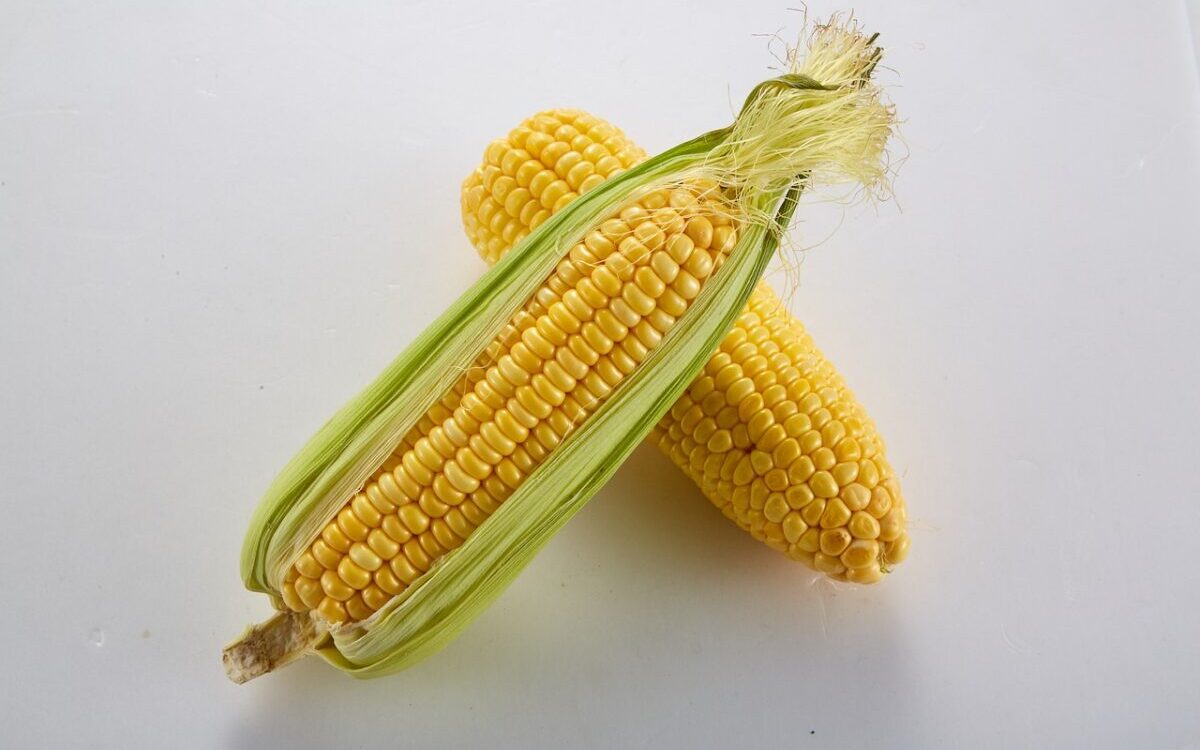 Food Science & Technology Quiz (10/05/2021)