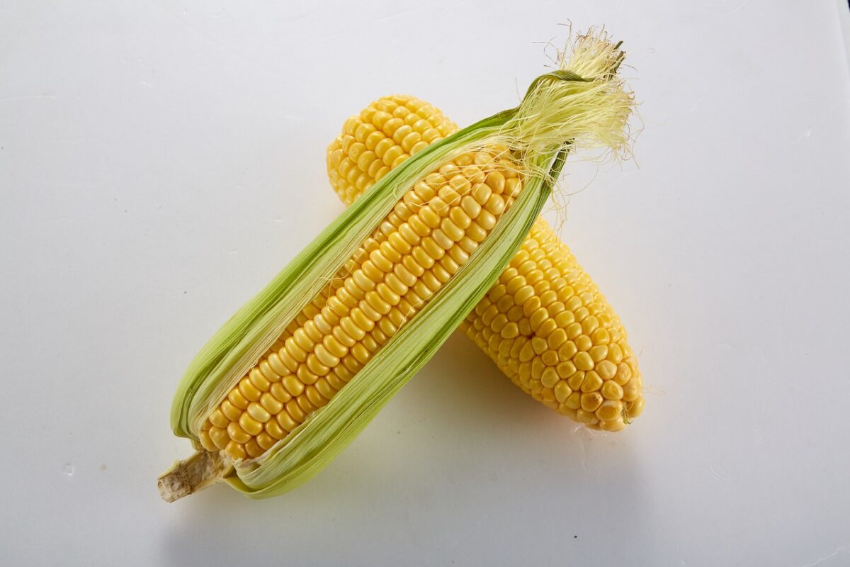 Pellagra Is Due To Deficiency Of Niacin – Food Science Quiz | KATTUFOODTECH