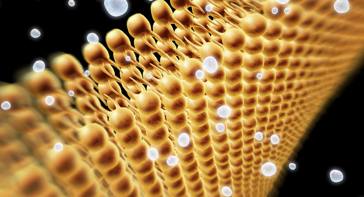 FOOD TECHNOLOGY (23-09-2021)