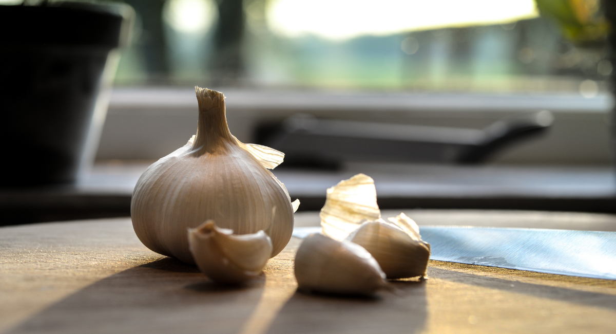 FOOD TECHNOLOGY (11-09-2021)