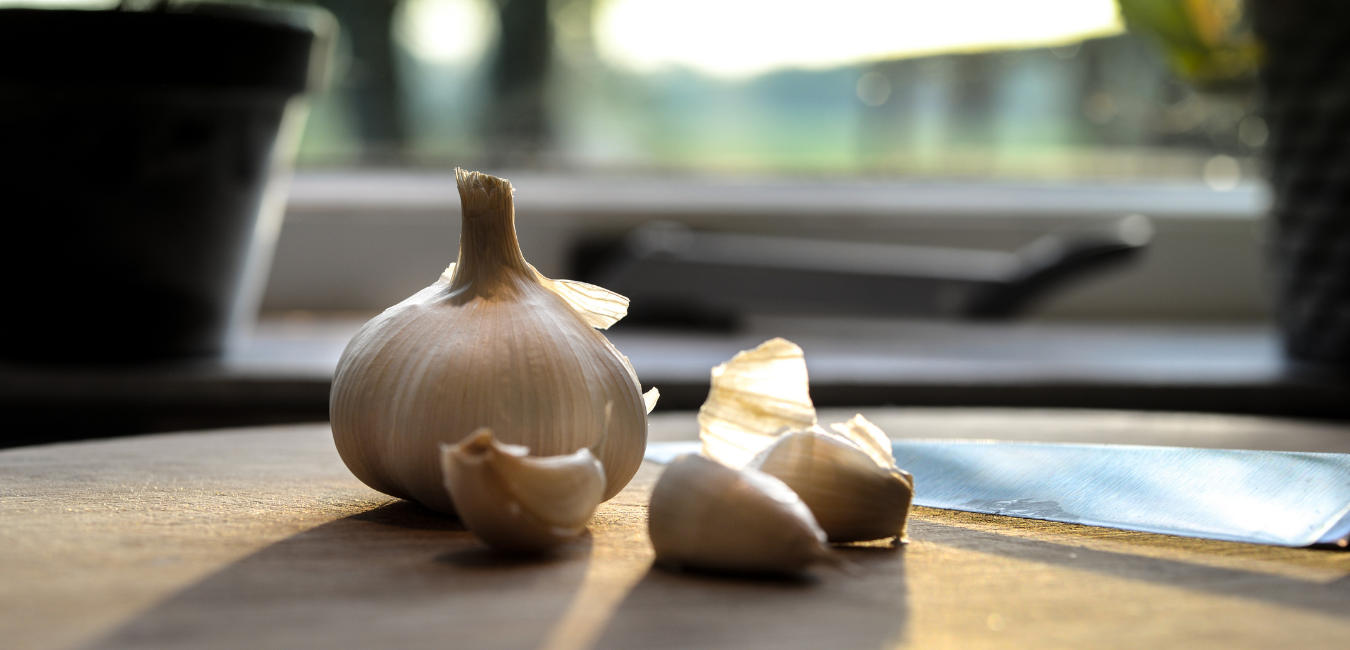 Organosulphur compounds are also called as ‘Promise of garlic’