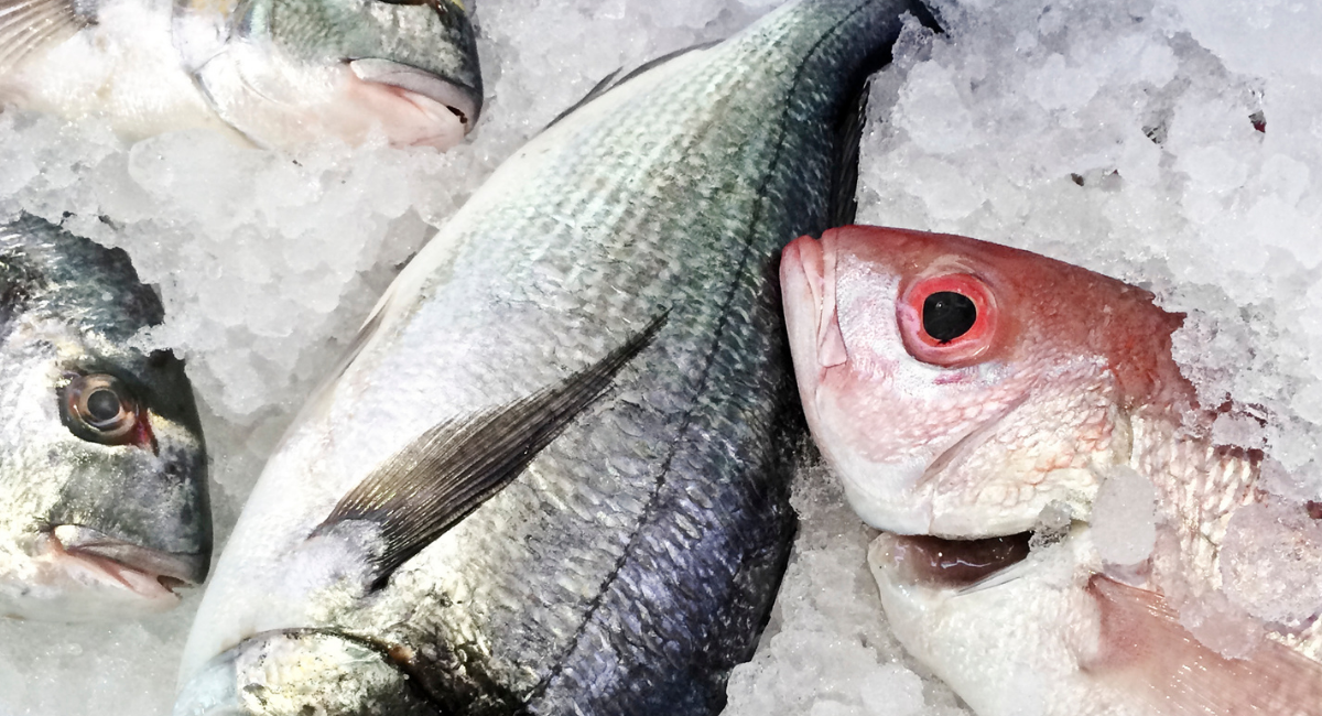 FOOD TECHNOLOGY (13-09-2021)