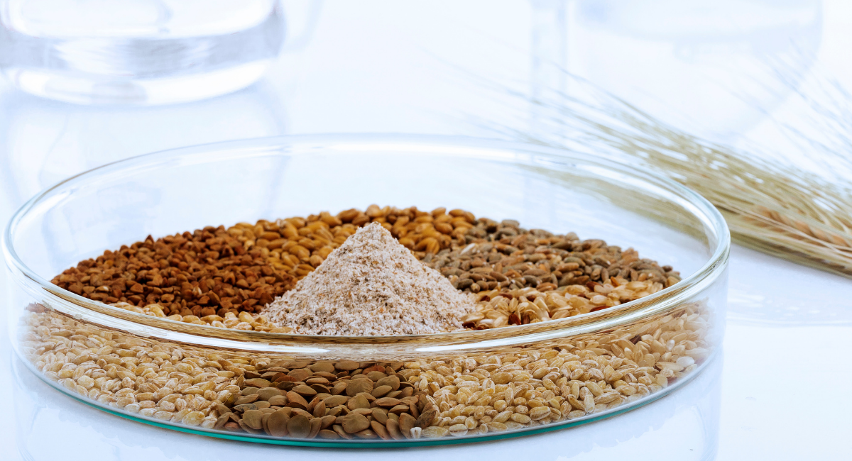 FOOD TECHNOLOGY (16-09-2021)