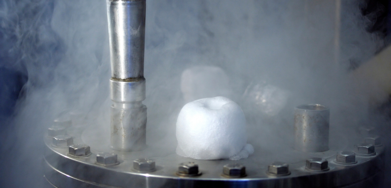 Cryogenic freezing can be used for rapid crust freezing