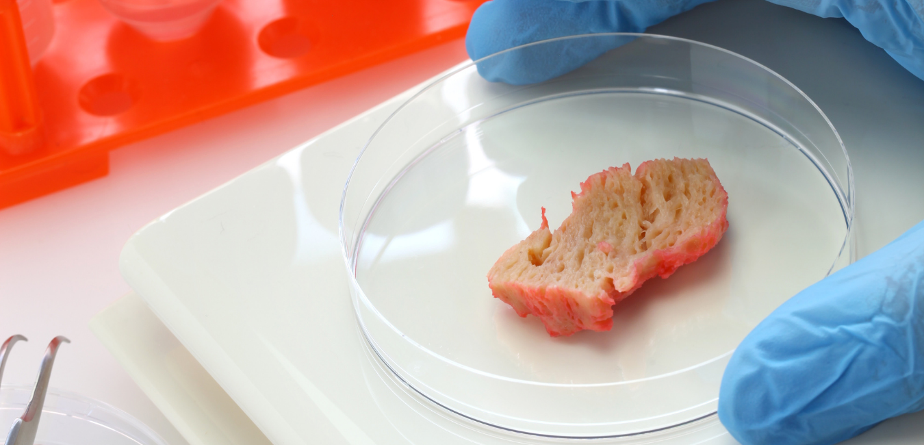 Application of Rheological Study in the meat products include To evaluate the type of breed