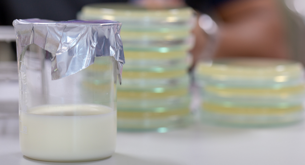 FOOD TECHNOLOGY (19-09-2021)