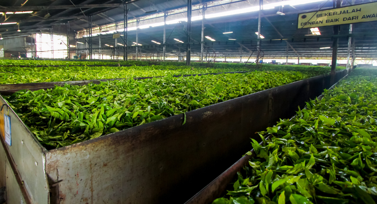 FOOD TECHNOLOGY (28-09-2021)