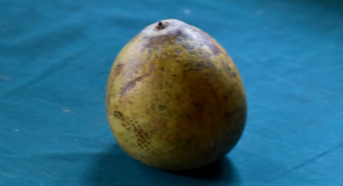 FOOD TECHNOLOGY (29-09-2021)