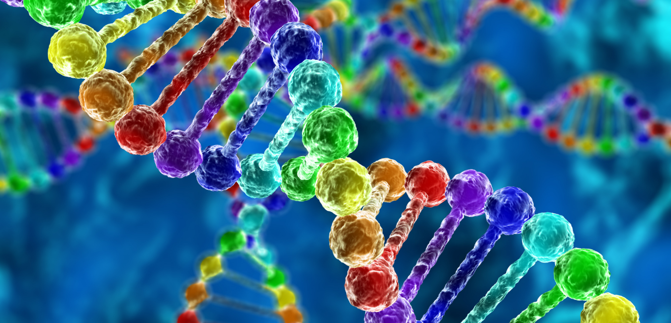 SDS electrophoresis proteins are separated on the basis of mass – KATTUFOODTECH