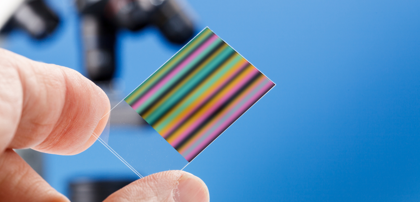 Food Science & Technology Quiz – Size Exclusion Chromatography separates molecules based on their size – KATTUFOODTECH