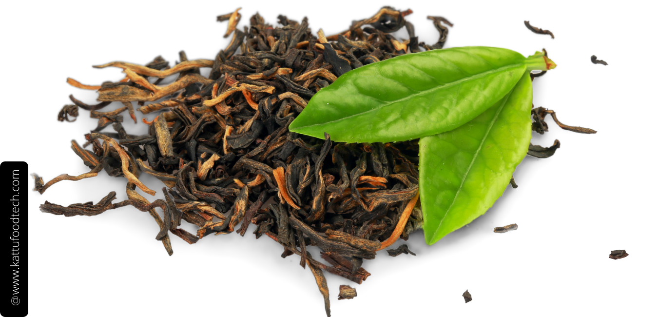 Tannins reduce protein availability – Food Science & Technology – KATTUFOODTECH