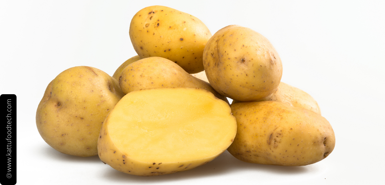 Alkaloid toxicant in Potato is Solanine – Food Science & Technology Quiz – KATTUFOODTECH