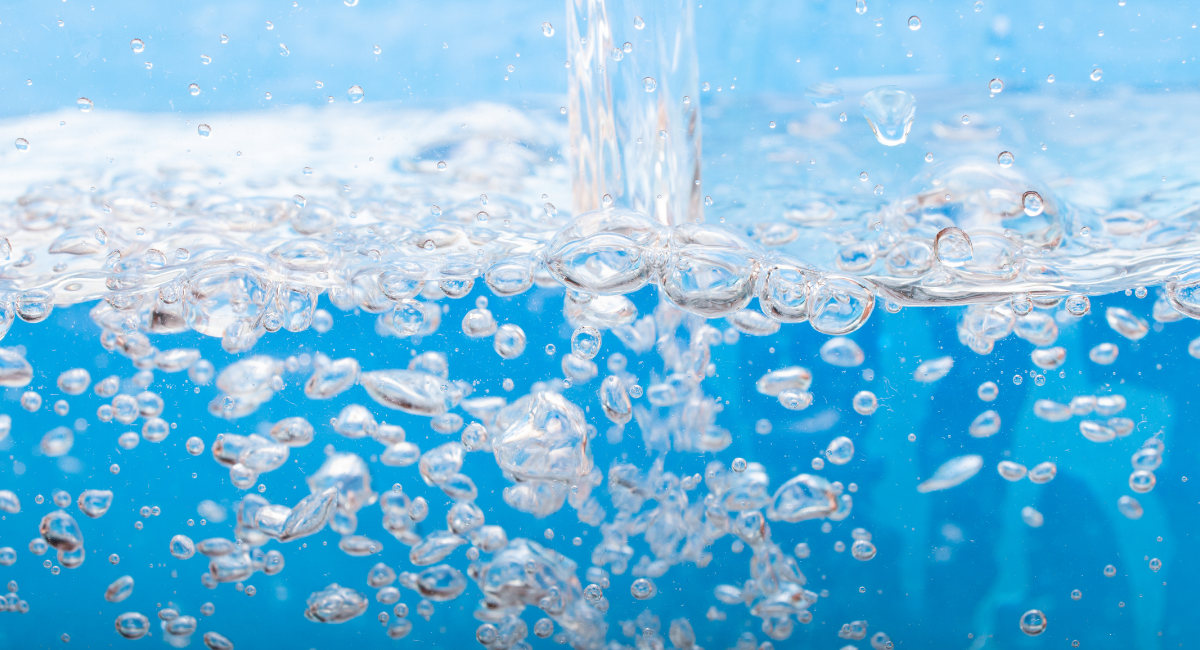 Food Science & Technology Quiz (18-11-2021)