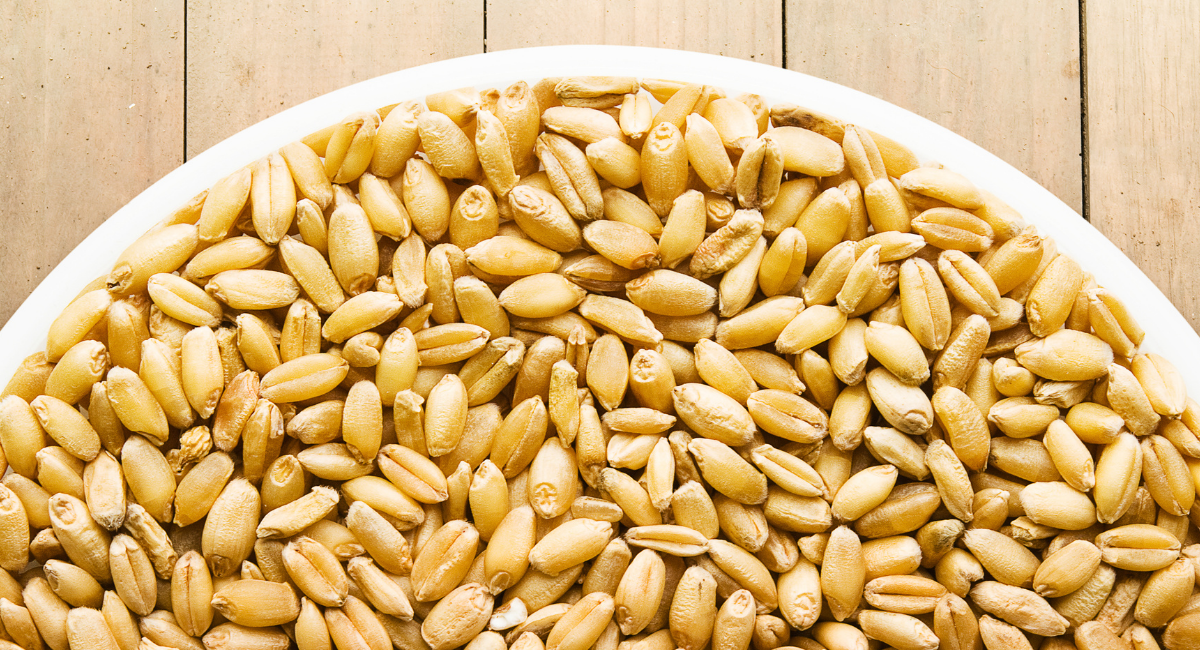 Food Science & Technology Quiz (28-11-2021)