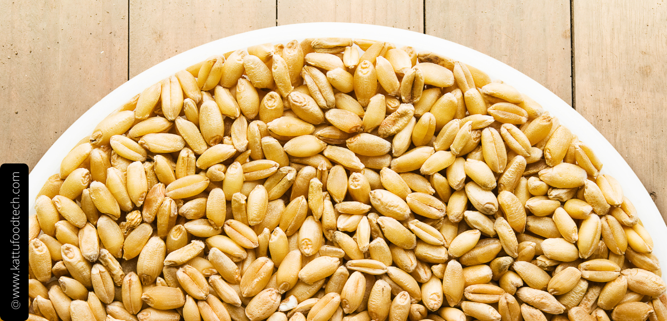 Oxidizing agents help in the gluten development of wheat flour – Food Science & Technology Quiz – KATTUFOODTECH