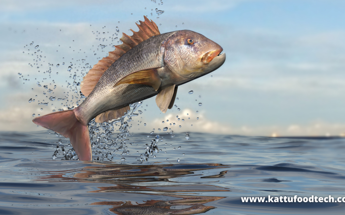 Food Science & Technology Quiz (14-12-2021)