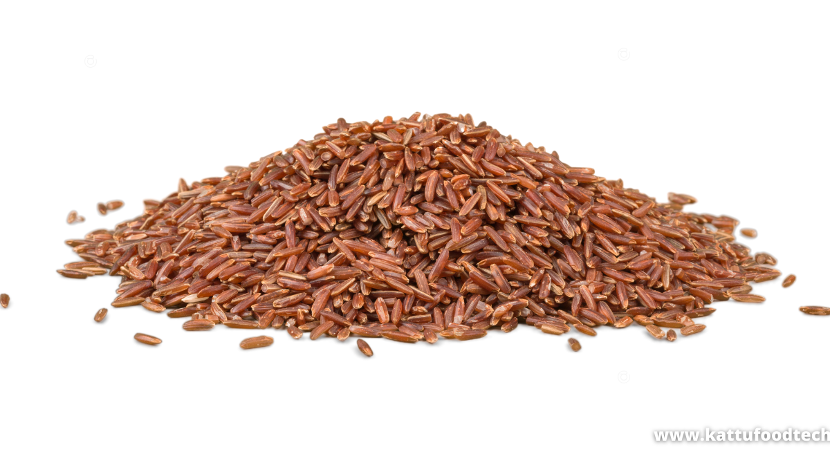 Food Science & Technology Quiz (06-12-2021)