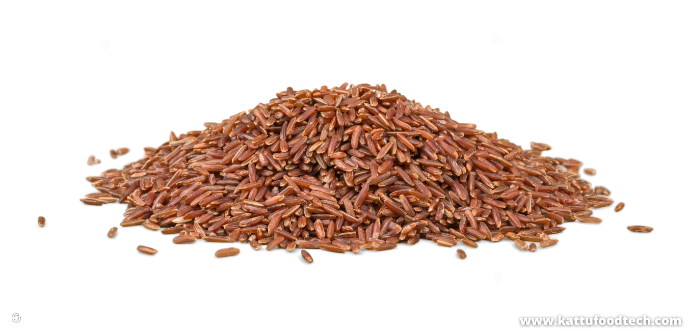 Raw brown rice has a glycemic index of 55 – Food Science – KATTUFOODTECH
