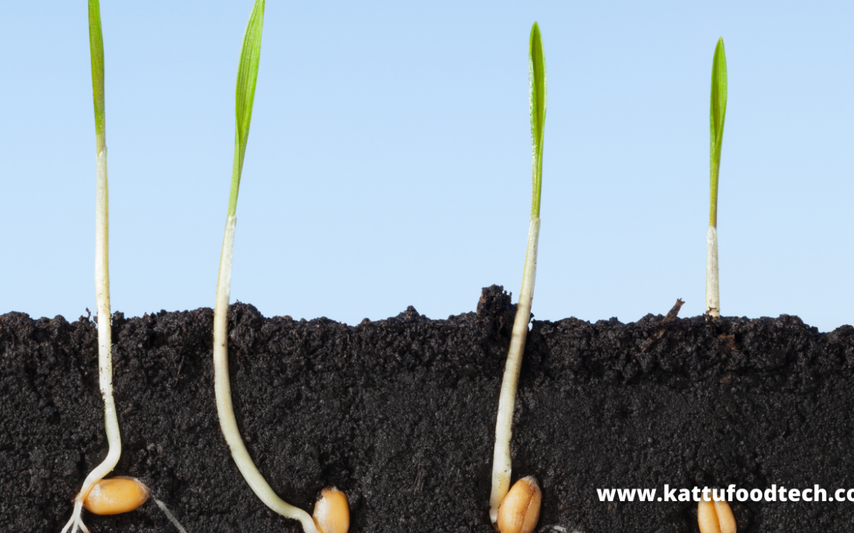 Food Science & Technology Quiz (13-12-2021)