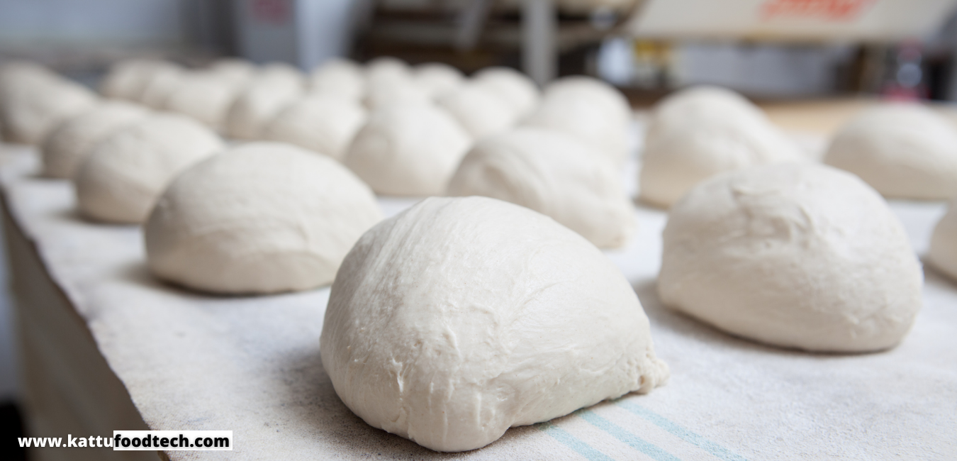 Alpha-amylase a flour enzyme is necessary for yeast fermented items – Food Science | KATTUFOODTECH